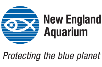 New England Aquarium